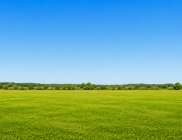 Properties In Kannur