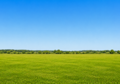 Properties In Kannur