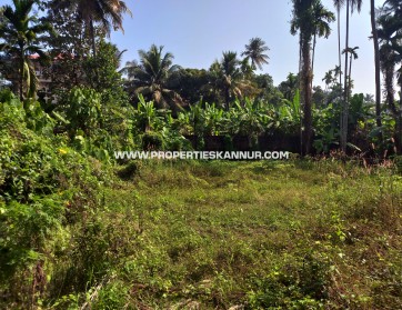 Properties In Kannur