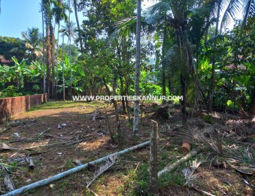 Properties In Kannur