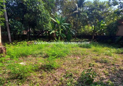 Properties In Kannur