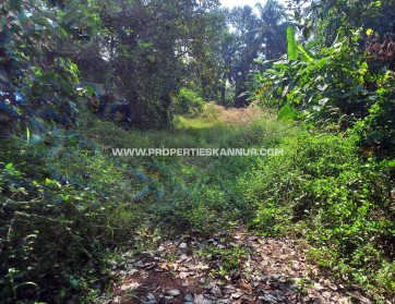 Properties In Kannur