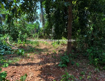 Properties In Kannur