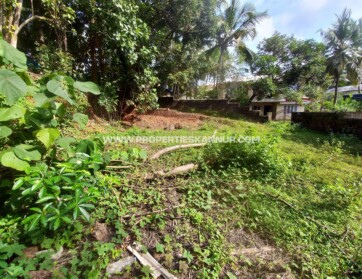 Properties In Kannur