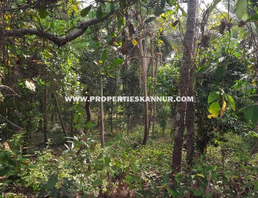 Properties In Kannur