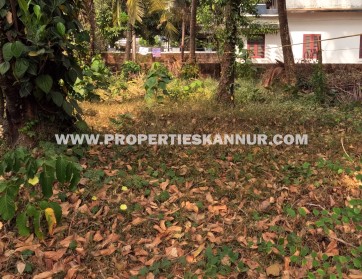Properties In Kannur